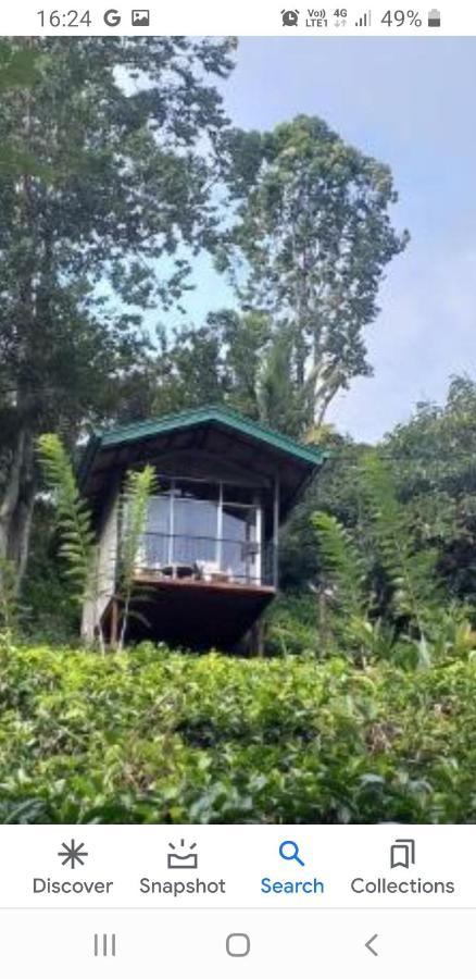Tea Villas Елла Екстер'єр фото